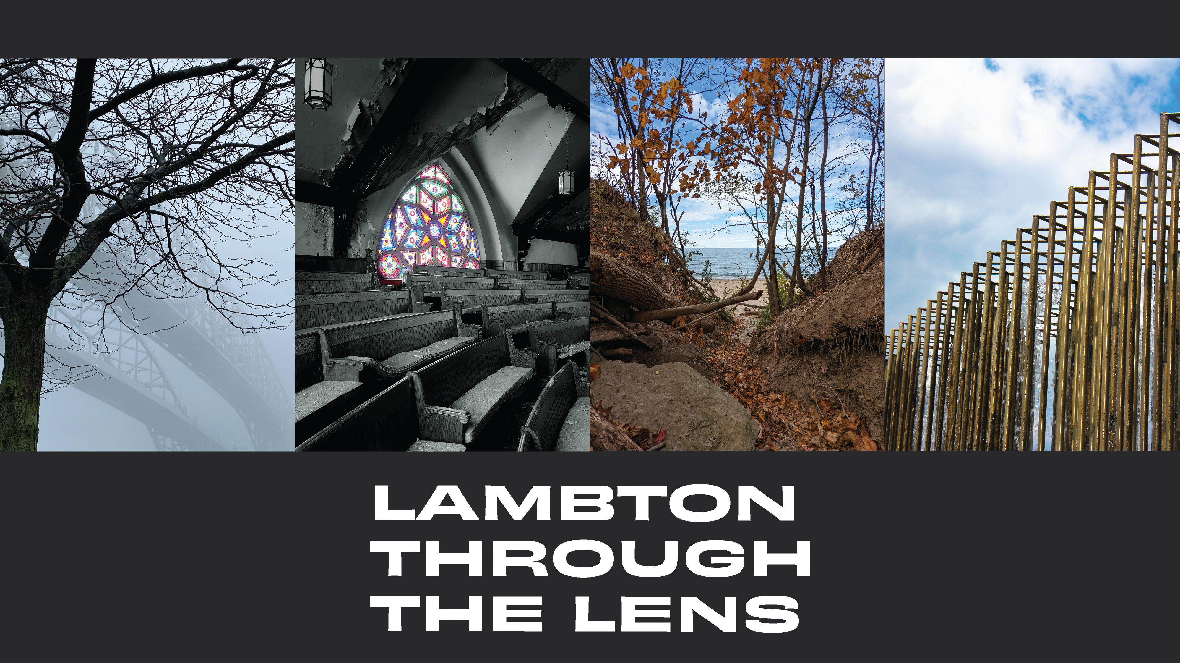 Collage of winners photographs on a dark grey background with the title Lambton Through the Lens below in white text