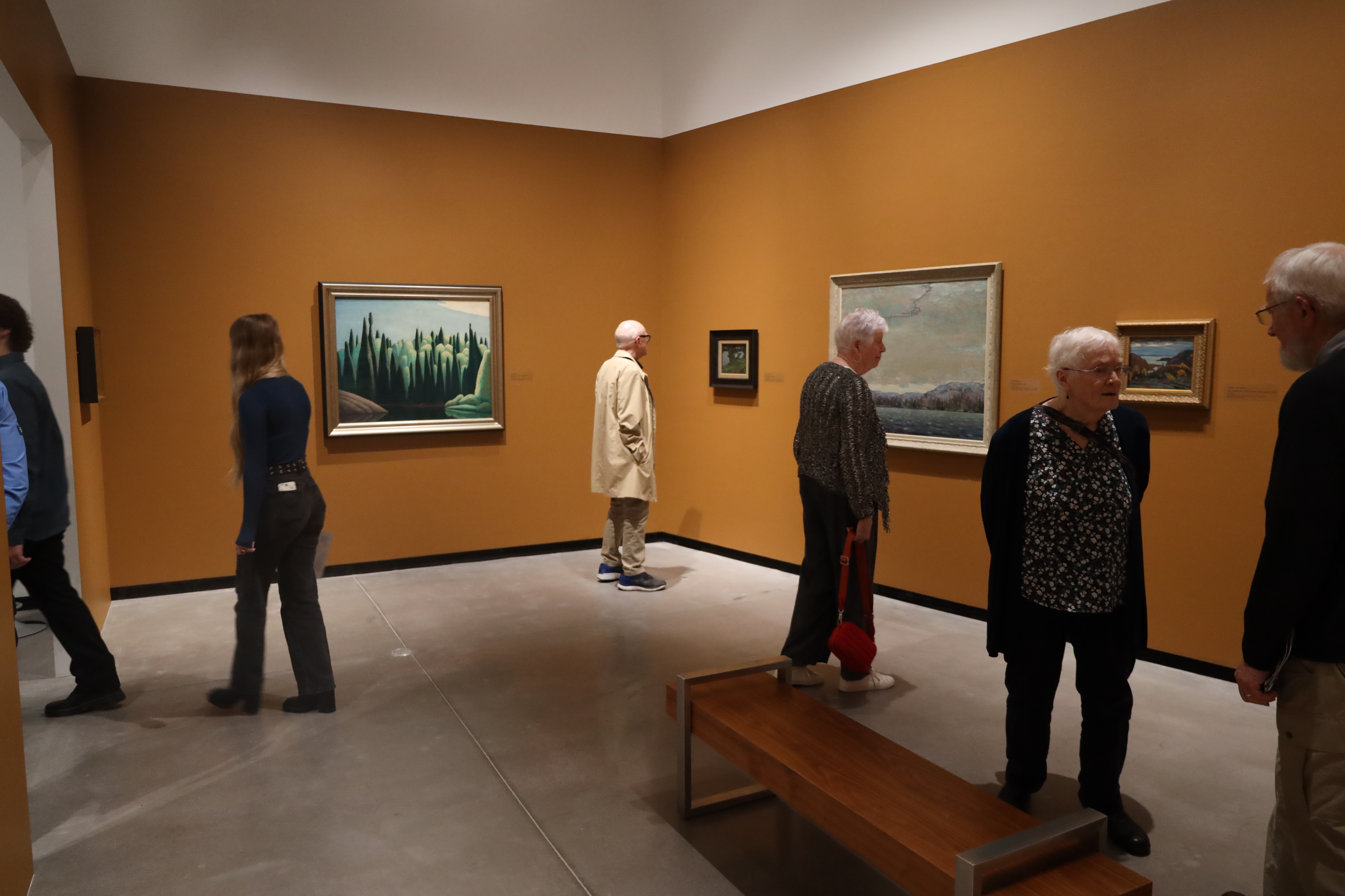 patrons viewing the Tom Thomson and Group of Seven exhibition at JNAAG