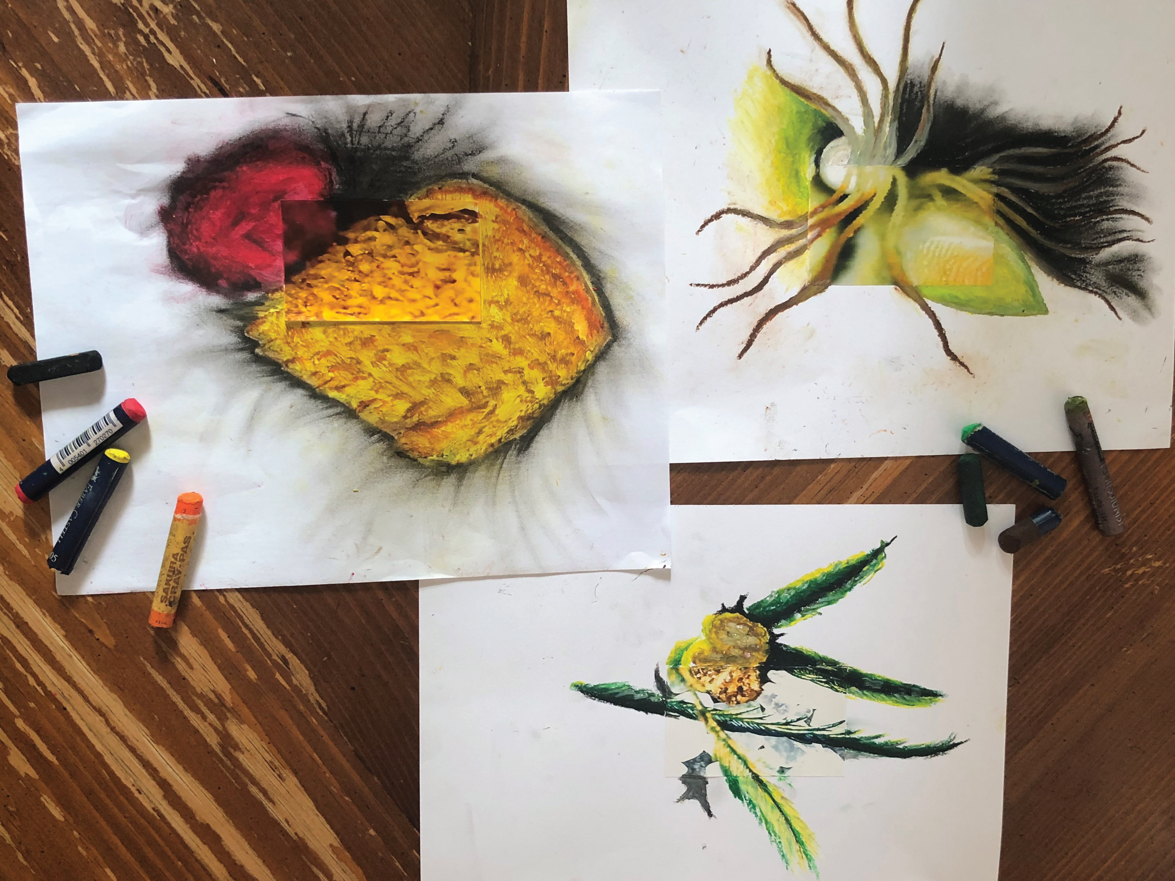 Three vibrant nature-inspired artworks on white paper, created with oil pastels. The pieces depict close-up views of plants with rich textures and bold colors. Assorted pastels are scattered on a wooden table around the artworks.