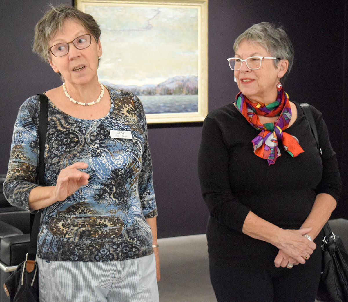 Docent Jane Bouchette, left, conducts a tour at JNAAG with Anne Craig, right, and a group from Wellings of Corunna. Cathy Dobson